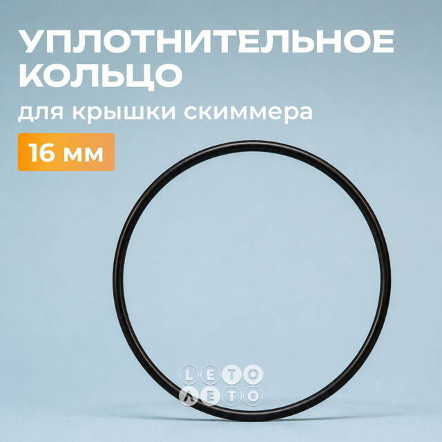 Уплотнительное кольцо для крышки бака песочного фильтр-насоса с 6-ти позиционным клапаном INTEX (Интекс)