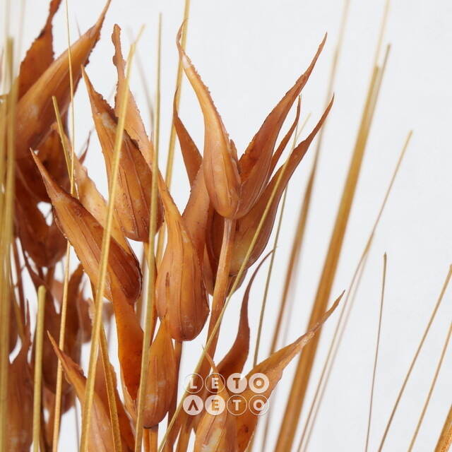 Искусственный букет Sorghum 48 см Boltze