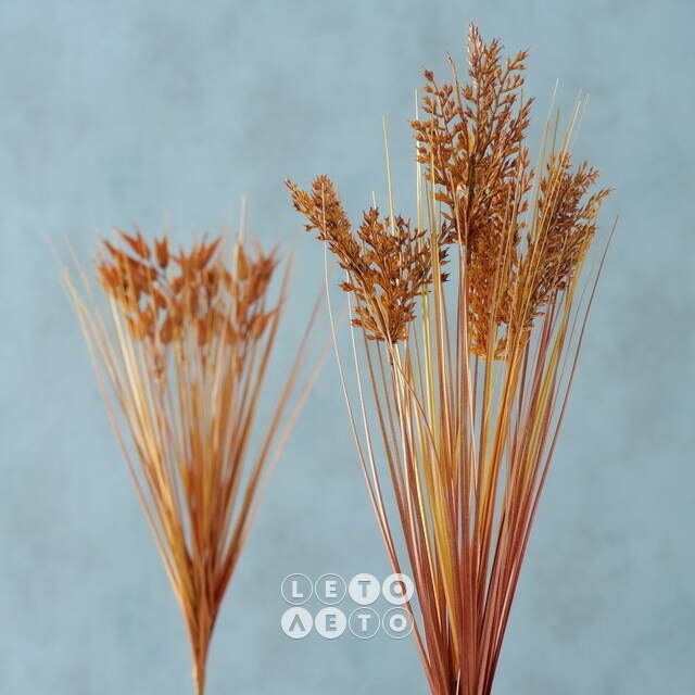 Искусственный букет Sorghum 48 см Boltze