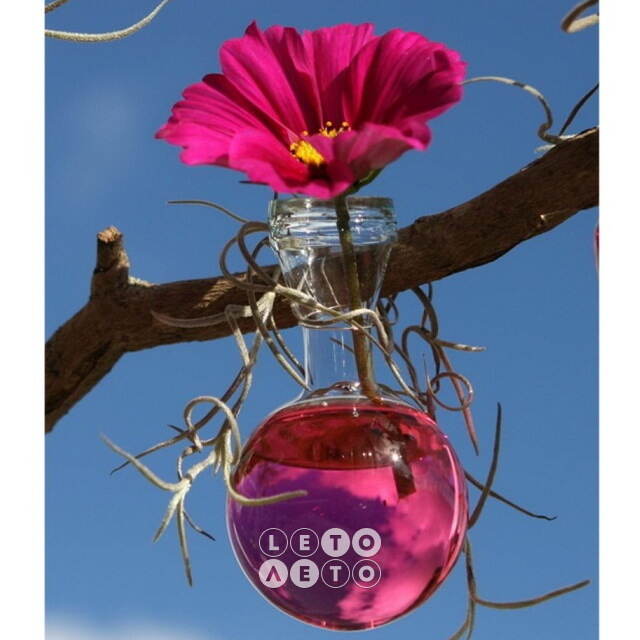Краситель для воды Pugsley 150 мл розовый Ideas4Seasons