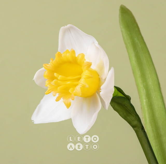 Искусственный цветок Нарцисс - Radiant Beauty 43 см белый EDG