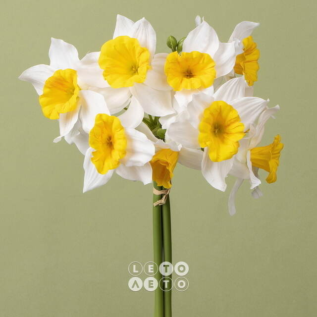 Искусственный букет Нарцисс - Sunny Mood 40 см желтый, 3 шт EDG