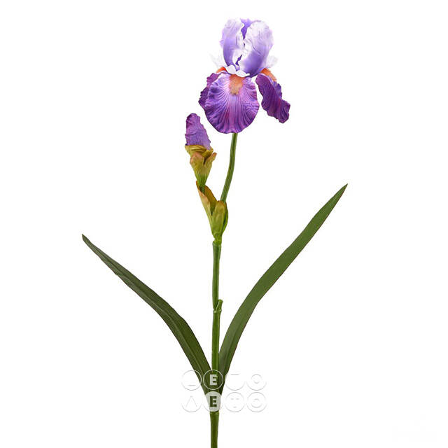 Искусственный цветок Ирис - Viola de Mar 75 см EDG