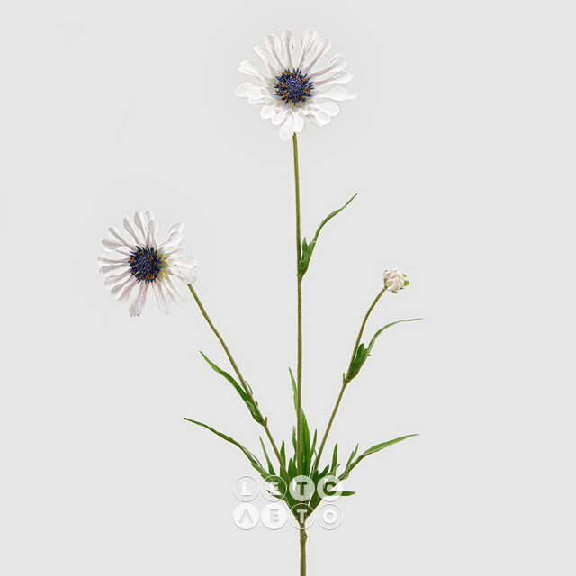 Искуcственный цветок Scabiosa - Perfecta White 65 см EDG