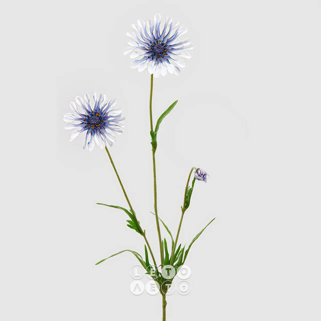 Искуcственный цветок Scabiosa - Perfecta Blue 65 см EDG