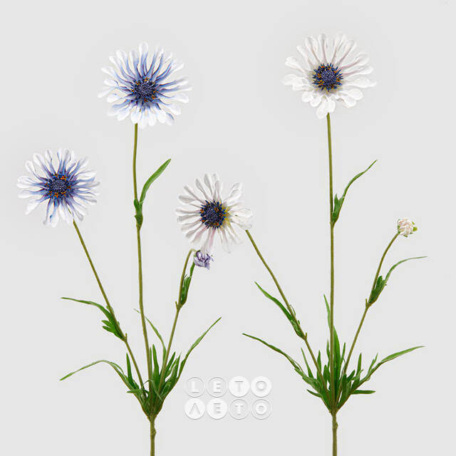 Искуcственный цветок Scabiosa - Perfecta White 65 см EDG