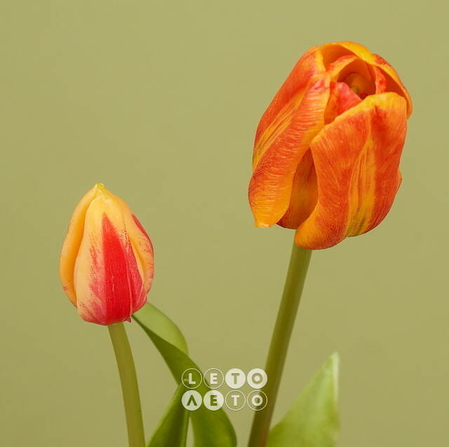 Силиконовые тюльпаны Loving Heart 3 шт, 48 см оранжевые EDG