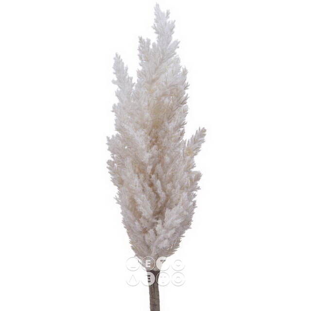 Декоративная ветка с перьями Coral Serenity: Beige 88 см Kaemingk