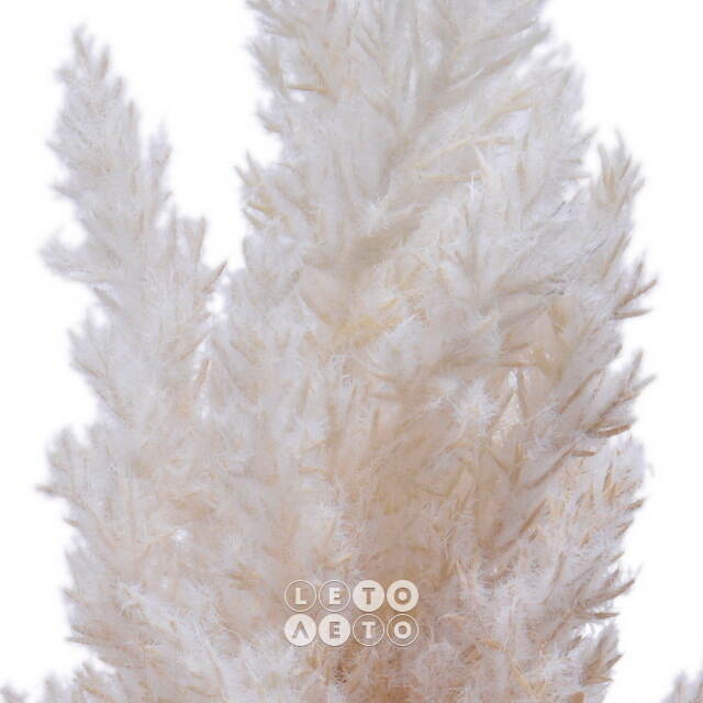 Декоративная ветка с перьями Coral Serenity: Beige 88 см Kaemingk