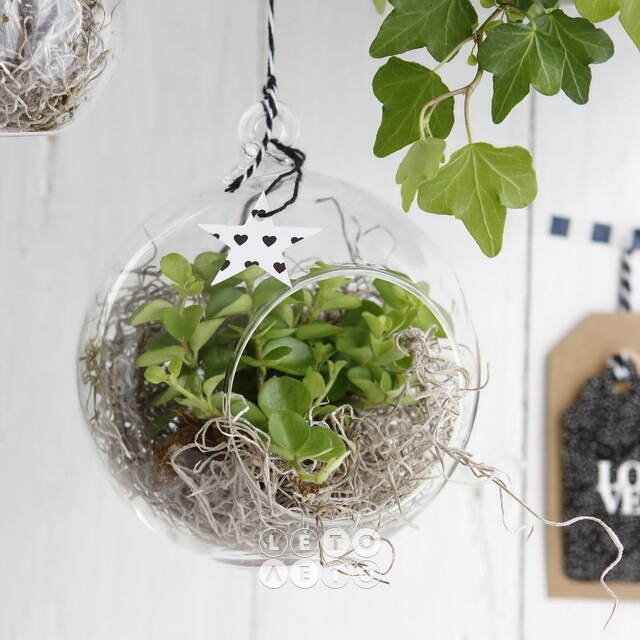 Стеклянный шар для декора Melone 12 см Ideas4Seasons