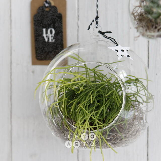 Стеклянный шар для декора Melone 14 см Ideas4Seasons