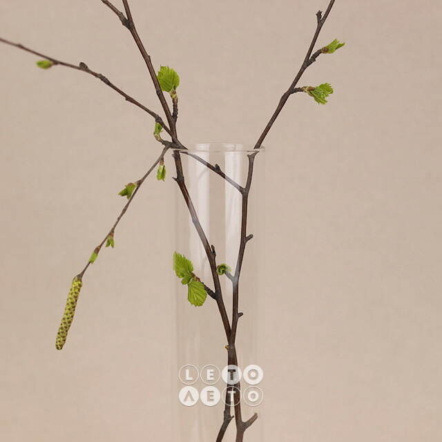 Стеклянная колба для цветов Therios на подставке 28 см Ideas4Seasons