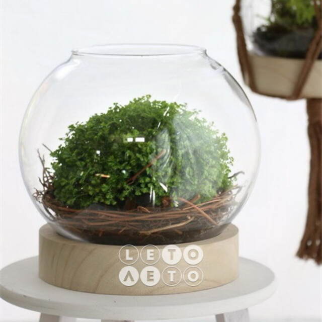 Стеклянная ваза на подставке Эйвери 14 см Ideas4Seasons