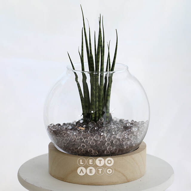Стеклянная ваза на подставке Жардин 21 см Ideas4Seasons