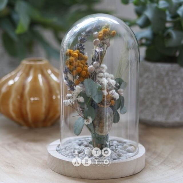 Стеклянный клош для декора Лангкави 16 см на деревянной подставке Ideas4Seasons