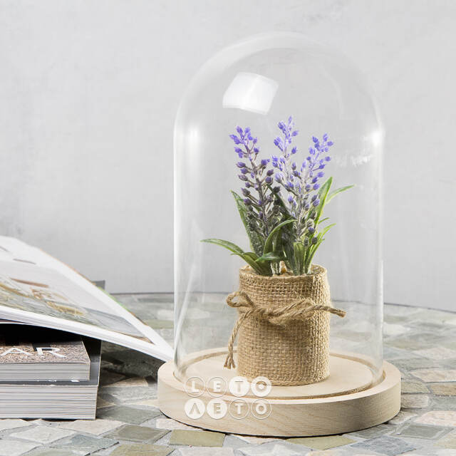 Стеклянный клош для декора Joysan 21 см Ideas4Seasons