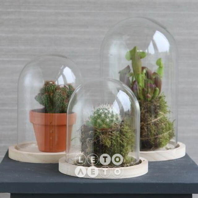 Стеклянный клош для декора Joysan 21 см Ideas4Seasons