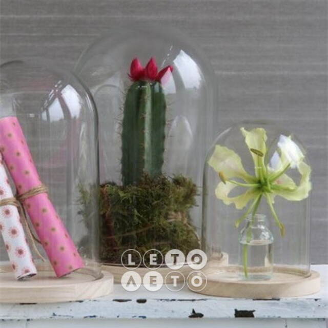 Стеклянный клош для декора Joysan 21 см Ideas4Seasons