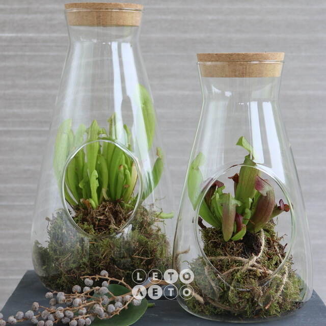 Стеклянная колба для декора Berto 27*14 см Ideas4Seasons