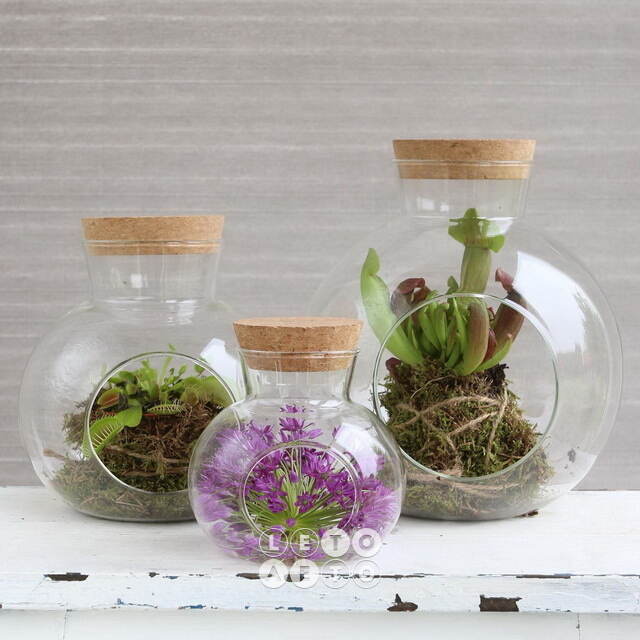Стеклянная колба для декора Ла-Гомере 15 см Ideas4Seasons