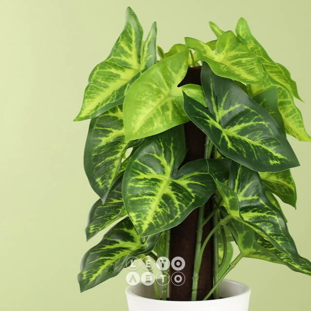 Искусственное растение в горшке Taro 25 см Koopman