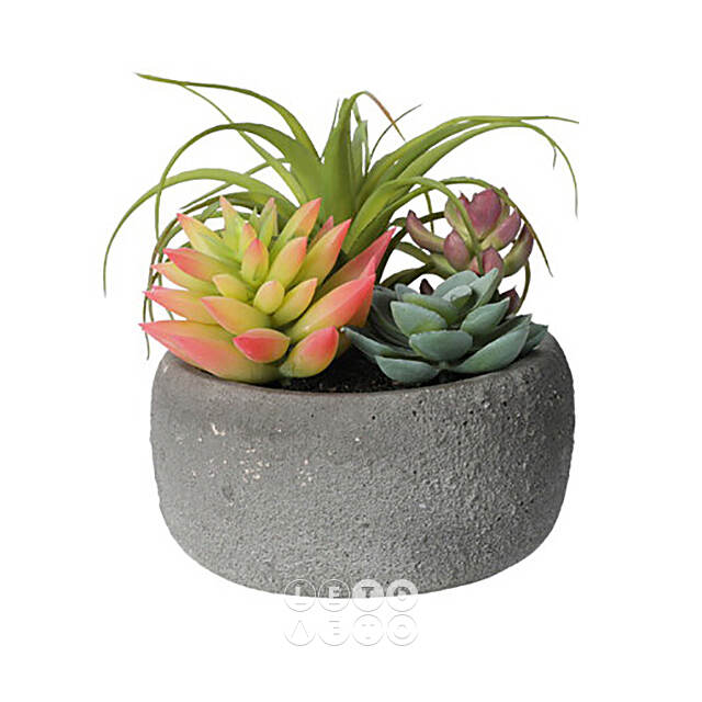 Искусственное растение в кашпо Succulent: Defole 13 см Koopman