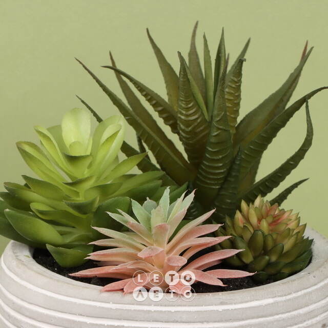 Искусственное растение в кашпо Succulent: Protegos 14 см Koopman