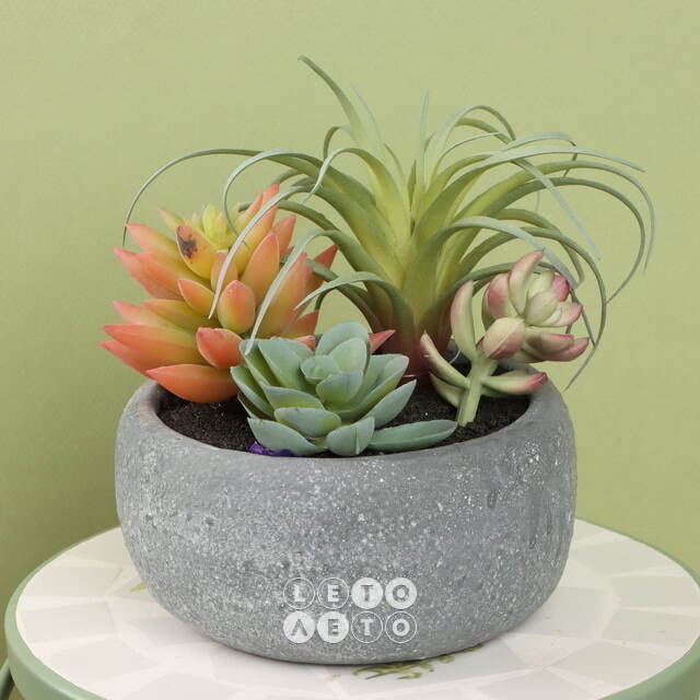 Искусственное растение в кашпо Succulent: Defole 13 см Koopman