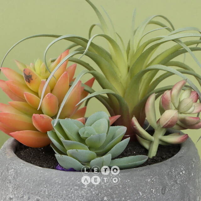 Искусственное растение в кашпо Succulent: Defole 13 см Koopman