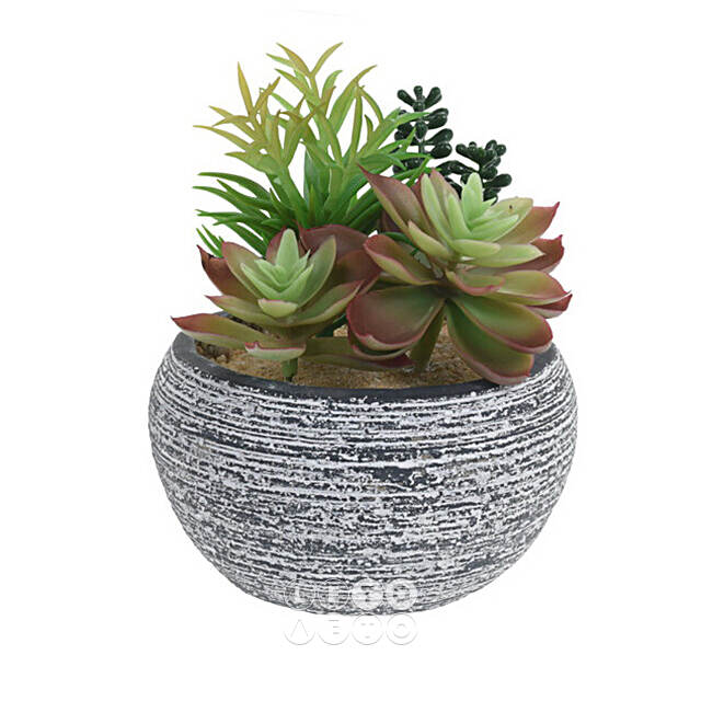 Искусственное растение в кашпо Succulent: Liberta 17 см Koopman