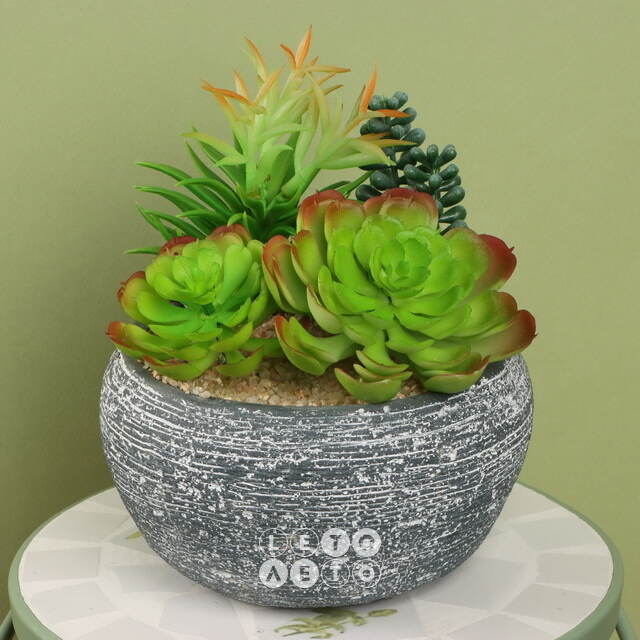 Искусственное растение в кашпо Succulent: Liberta 17 см Koopman