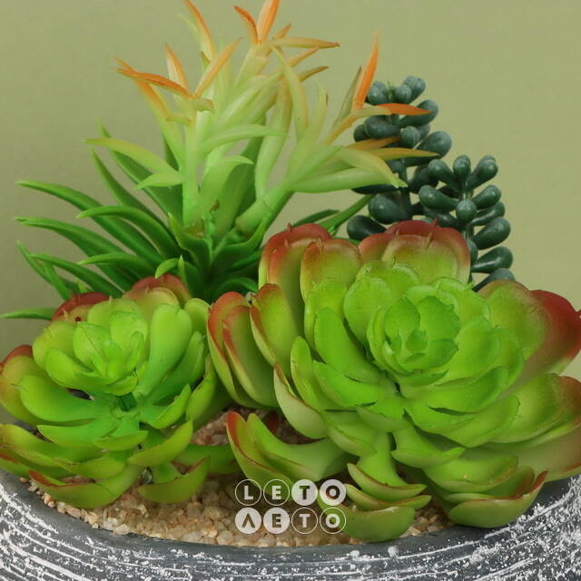 Искусственное растение в кашпо Succulent: Liberta 17 см Koopman