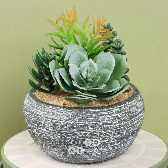 Искусственное растение в кашпо Succulent: Pace Della 17 см Koopman