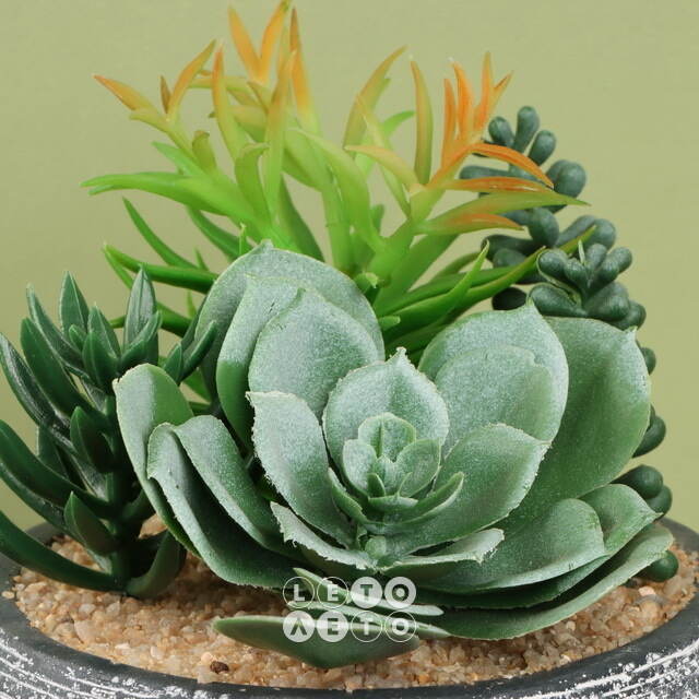 Искусственное растение в кашпо Succulent: Pace Della 17 см Koopman