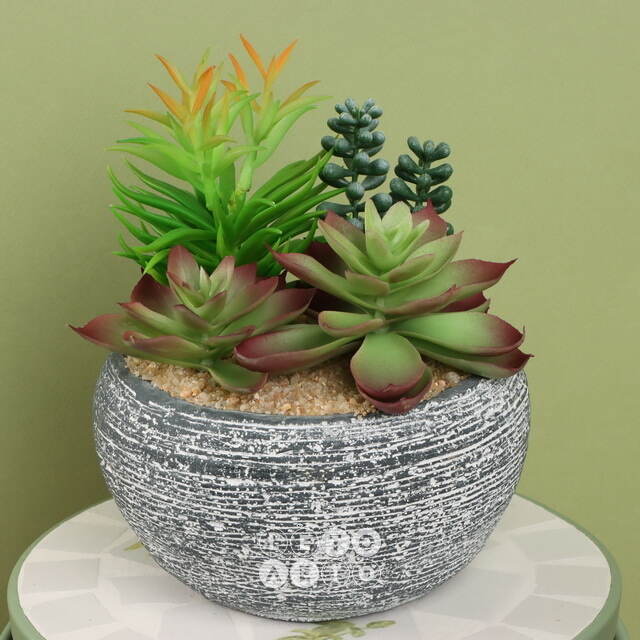 Искусственное растение в кашпо Succulent: Pacificazio 17 см Koopman