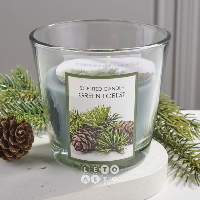 Ароматическая свеча Green Forest 8 см, в стеклянном стакане Koopman (Купман)