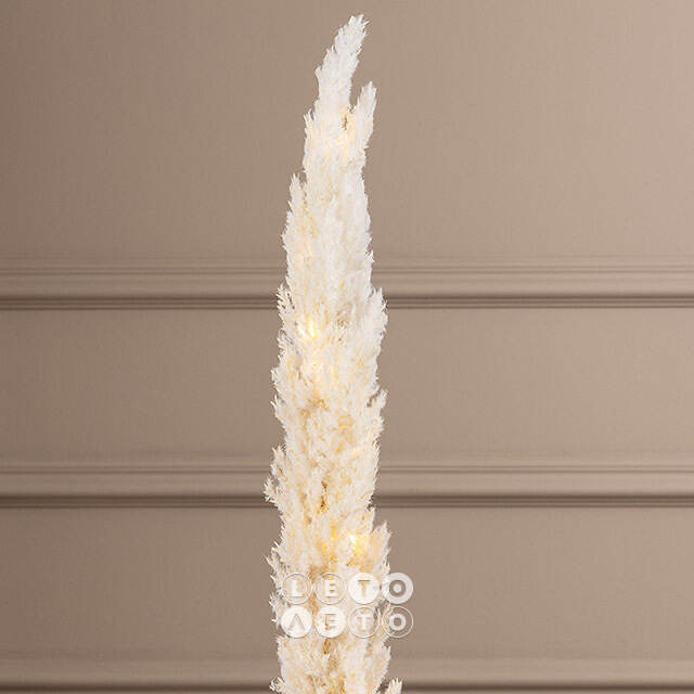 Светящаяся ветка для декора Cortaderia Creamy 70 см, теплые белые LED, на батарейках Kaemingk