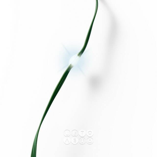 Светодиодная гирлянда Роса Micro Flex 27 м, 360 холодных белых LED, зеленый провод, контроллер, IP44 Kaemingk