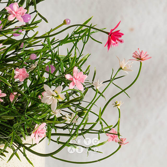 Искусственный цветок в горшке Хатиора 25 см, розовый Summer Deco