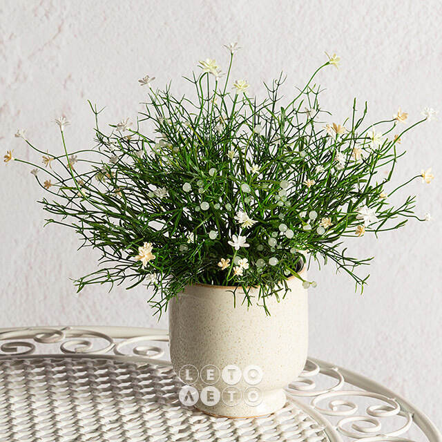 Искусственный цветок в горшке Хатиора 25 см, белый Summer Deco