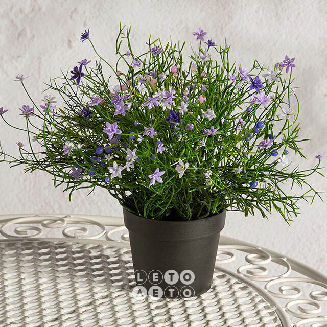 Искусственный цветок в горшке Wild Violet 26 см Summer Deco