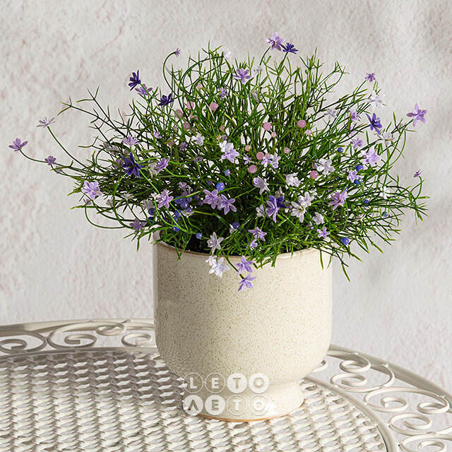 Искусственный цветок в горшке Wild Violet 26 см Summer Deco