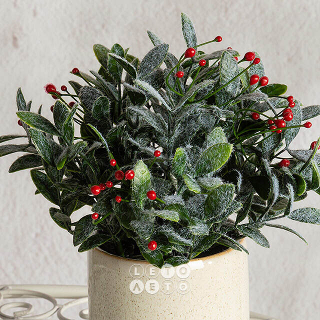 Искусственное растение в горшке Frost Garden 23 см Summer Deco