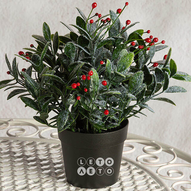 Искусственное растение в горшке Frost Garden 23 см Summer Deco