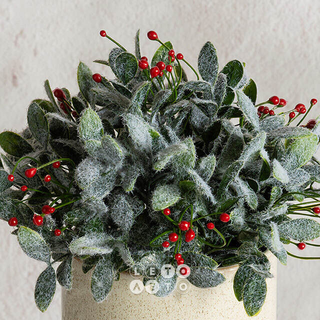 Искусственное растение в горшке Frost Garden 26 см Summer Deco