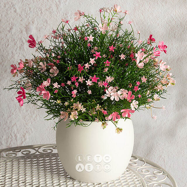 Искусственный цветок в горшке Ginosa 36 см, розовый Summer Deco