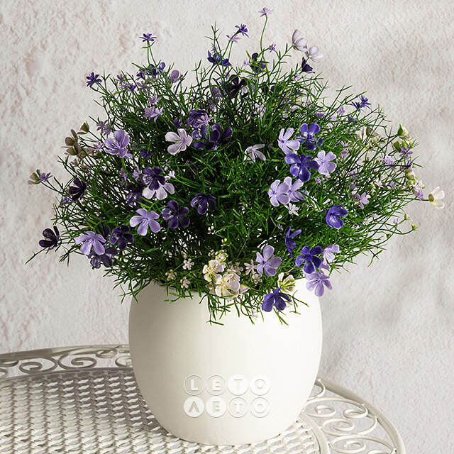 Искусственный цветок в горшке Лобелия 36 см, фиолетовый Summer Deco