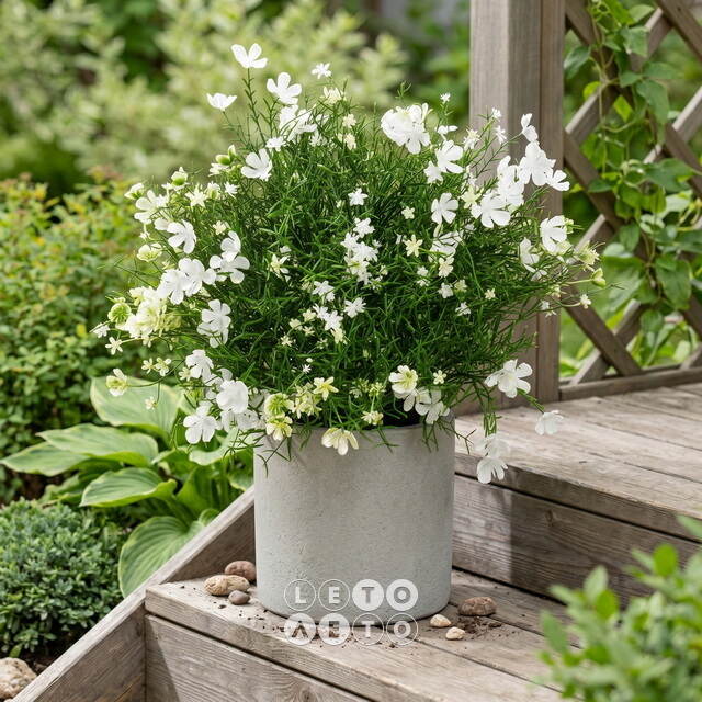 Искусственный цветок в горшке Лобелия 36 см, белый Summer Deco