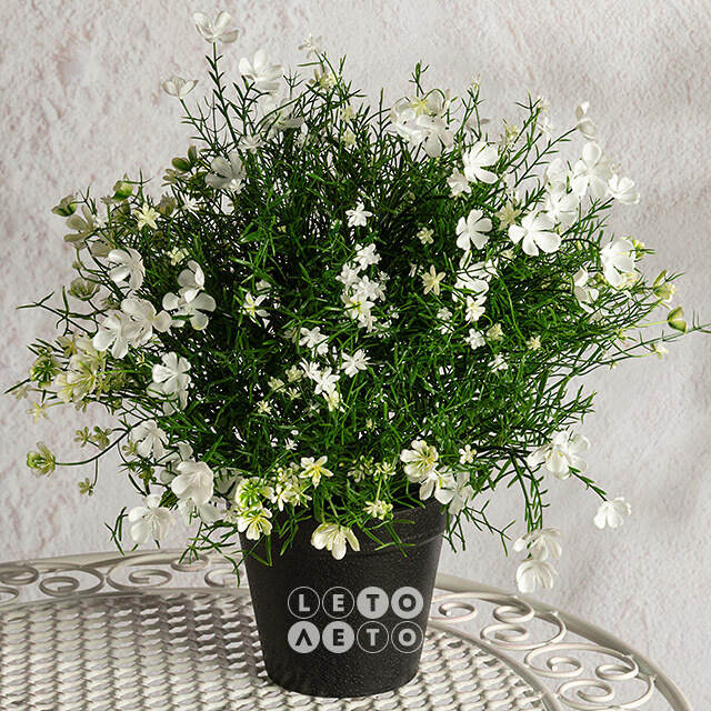 Искусственный цветок в горшке Лобелия 36 см, белый Summer Deco