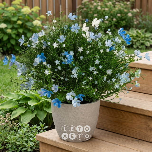 Искусственный цветок в горшке Лобелия 36 см, голубой Summer Deco